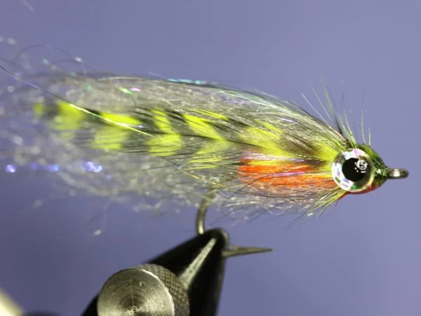 Streamer Fly Collection