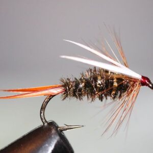 Nymph Fly Assortment