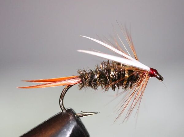 Nymph Fly Assortment